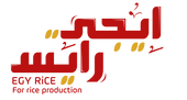 EGYRICE | ايجى رايس